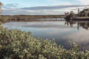 Brunswick Heads Reflections