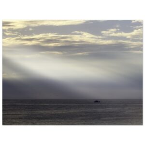 573a2ccd-9aa6-40d2-a2d8-68aa7680f548