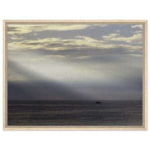 57a8208d-d921-499d-931f-13eb8e7fbfe1