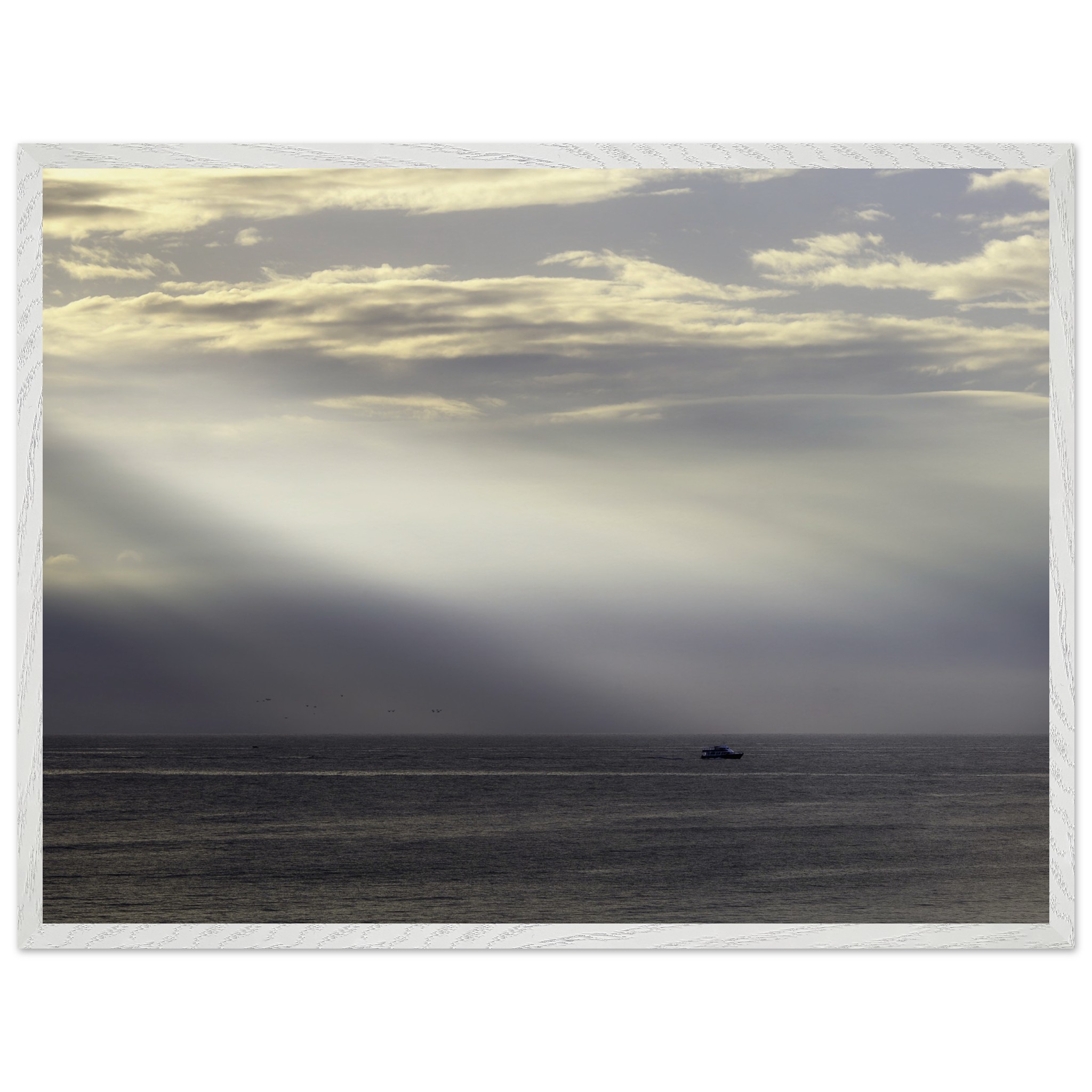803114d9-ba01-4f34-9f98-42ed67056a6d