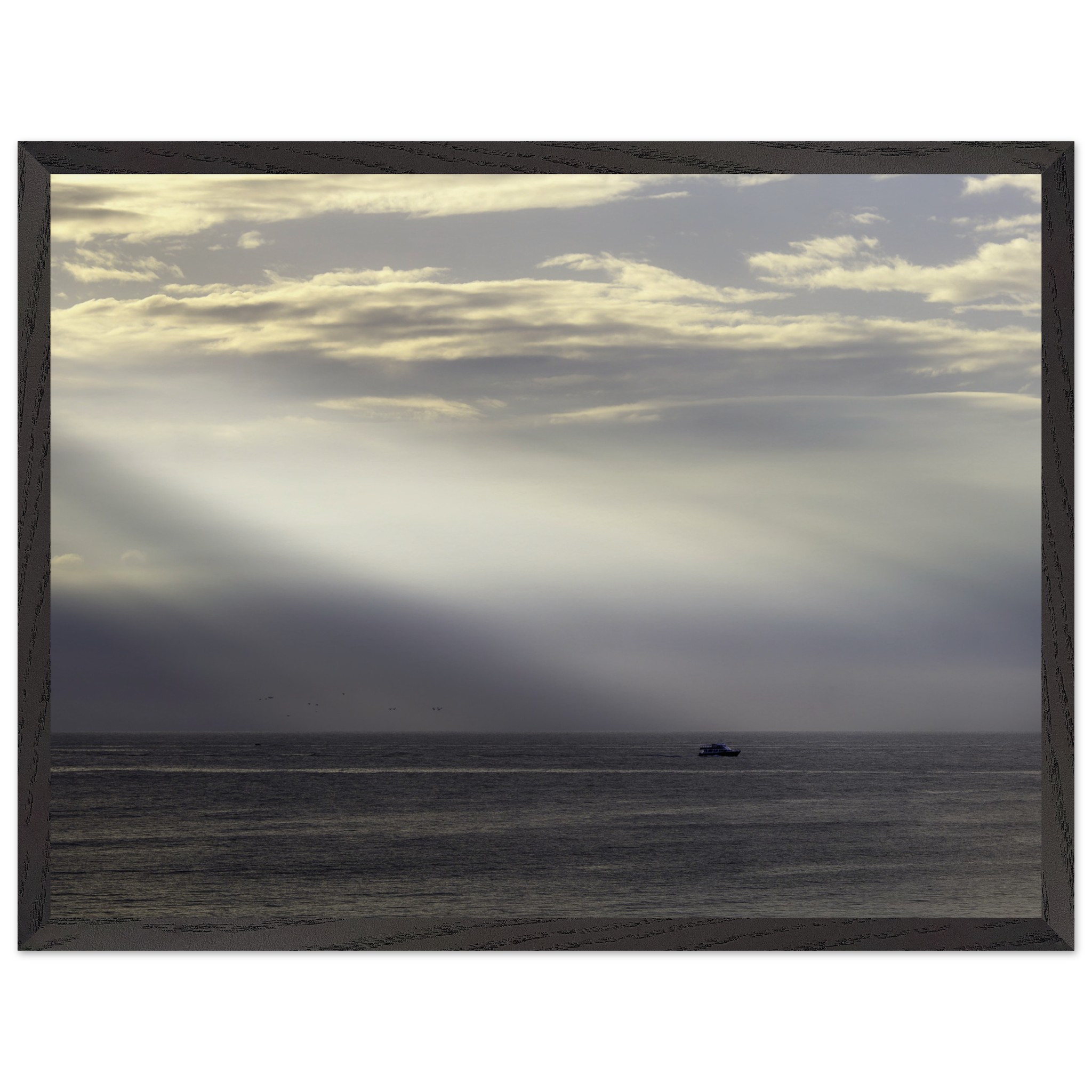 a814b344-68c3-40d7-83dc-044cce64189a