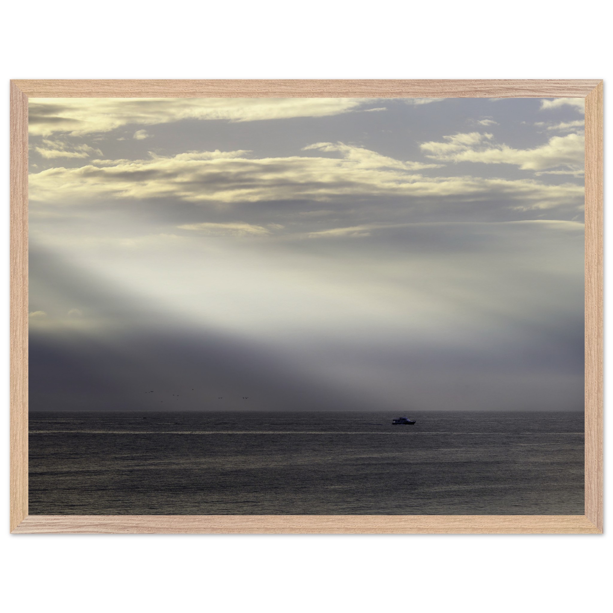 cb00cc58-f486-4e06-ae67-ccf88a6c732c