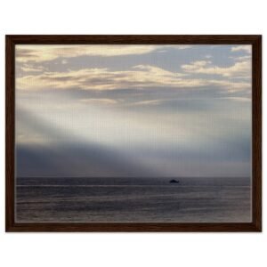 cc848432-b816-4dd8-9d60-62326ed193cc