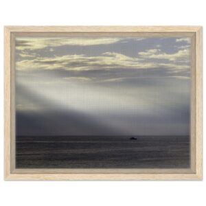 f72ab6d6-f364-4116-8e3a-749677ab3f1a