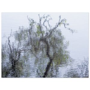 13413c26-69f6-4a11-a189-5b7b384c2e08