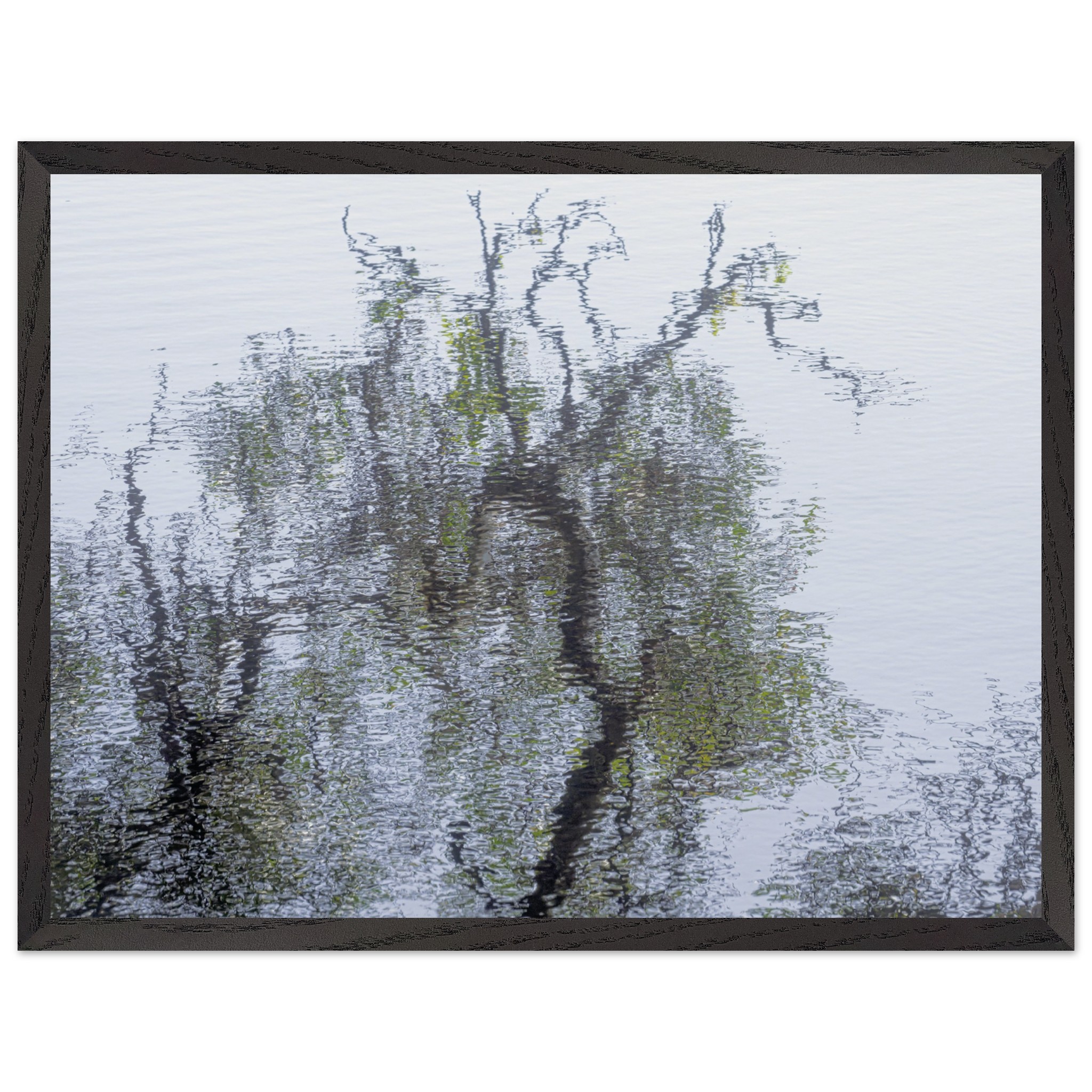 5ce01ef6-0199-4292-b5be-18fd4e3d5f5e