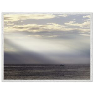 cd6692b9-ba0b-4d44-8b5c-bb60af9a383d