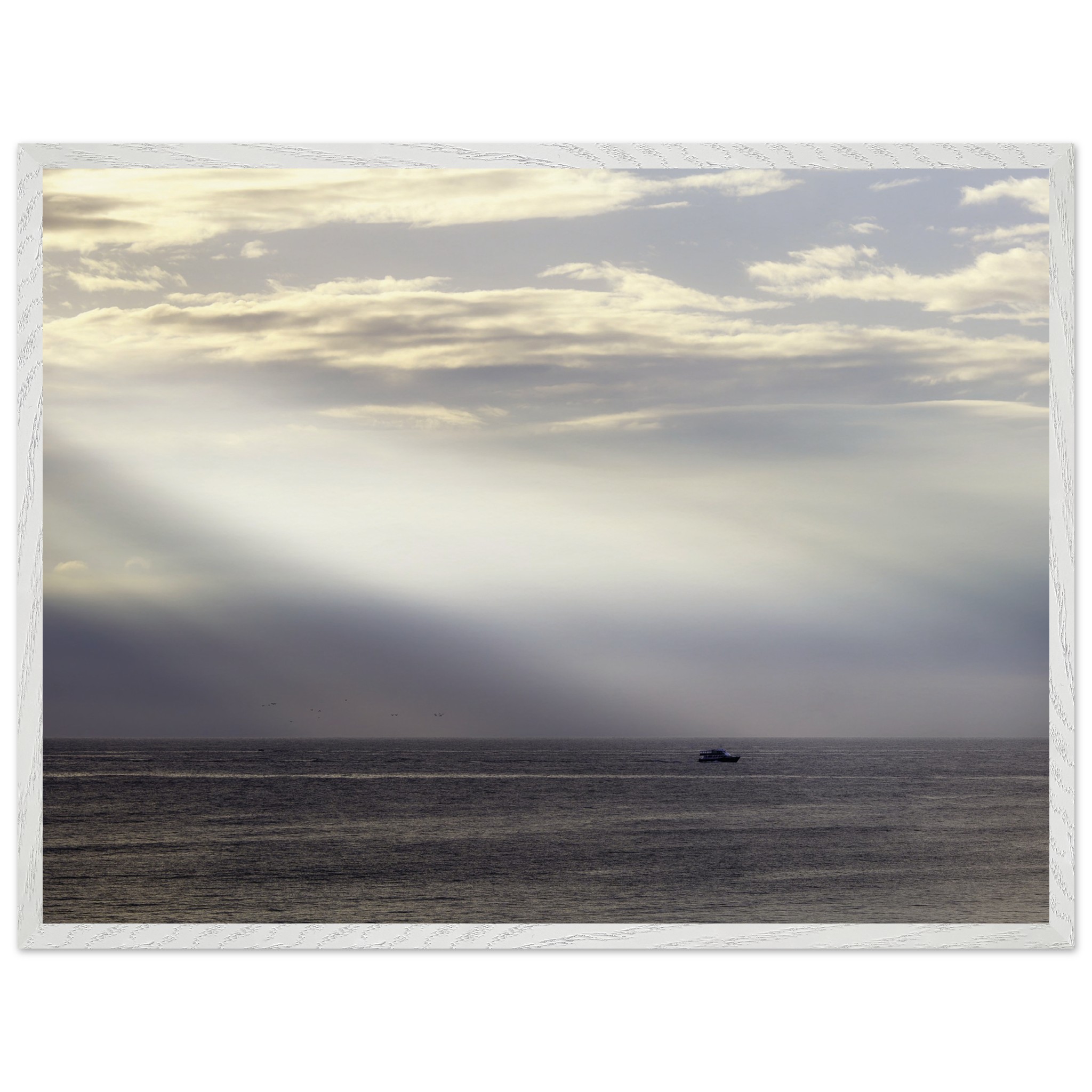 cd6692b9-ba0b-4d44-8b5c-bb60af9a383d