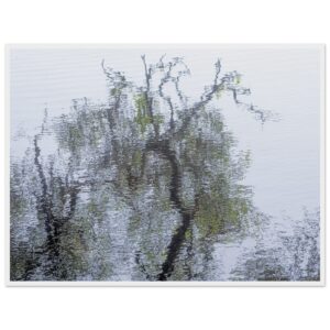 2babdc0e-f825-4463-afb5-48e9c87c90d8