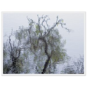 6a7cb2c1-d085-460a-9ea3-7a28693c8e5d