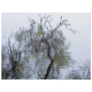 bb1c98e7-f3eb-4171-a812-1d7a2a03bf3b