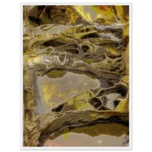 d576e583-eae3-440d-b58e-6e9b5850fe10