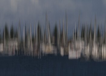 At the Marina