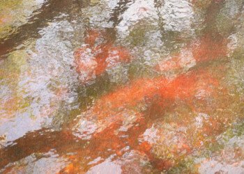 Colours of a Lake