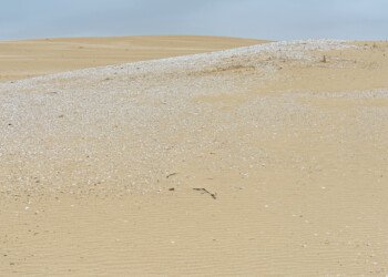 Coorong Sacred Site