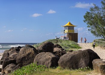 Lifeguard 12