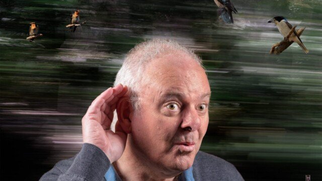 When Birds Sing