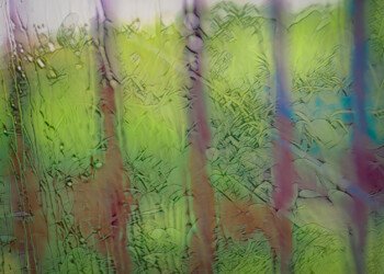 Through The Bars