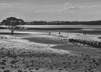 Tides Out