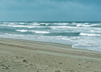 Watching the Waves