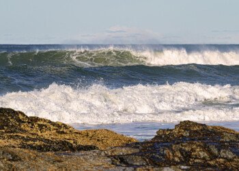 Waves