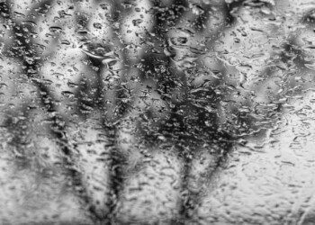Wet Day
